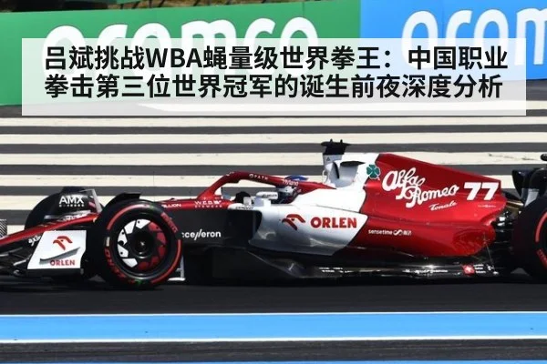 吕斌挑战WBA蝇量级世界拳王：中国职业拳击第三位世界冠军的诞生前夜深度分析